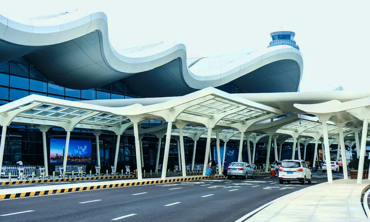 Aeroporto Internacional de Nanquim Lukou