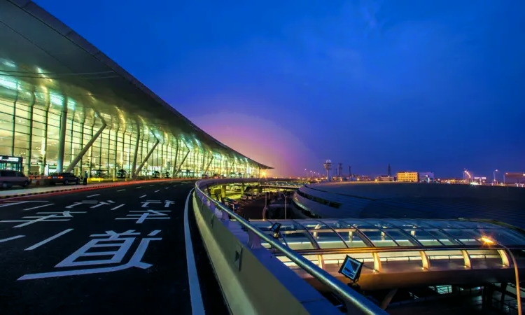 Aeroporto Internacional de Nanjing Lukou